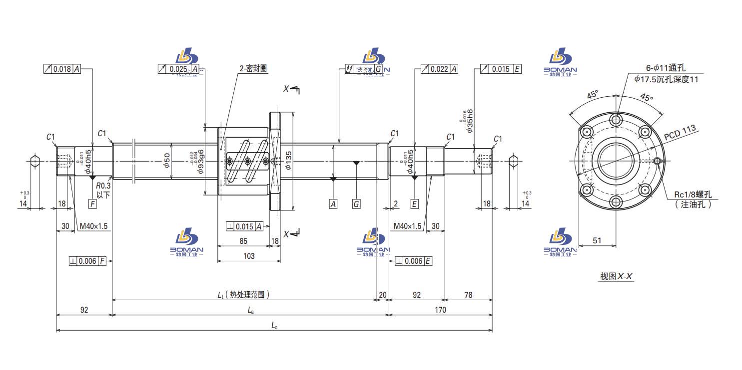 W5019SA-1Z-C5Z10-轴端完成品滚珠丝杠
